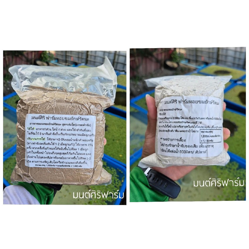 ชุดคู่อาหารหอยขมยักษ์รัตนะสูตรเร่งโตกับแร่ธาตุหอยขมเข้มข้นละลายช้า