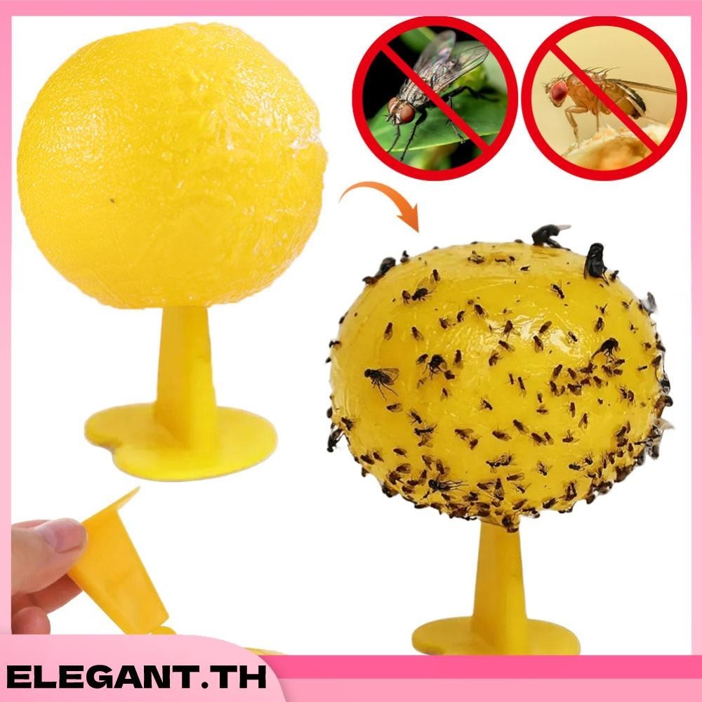 Fruit Fly Trap Killer Fruit Fly Catcher Drosophila Trap สําหรับลานสวนกลางแจ ้ ง