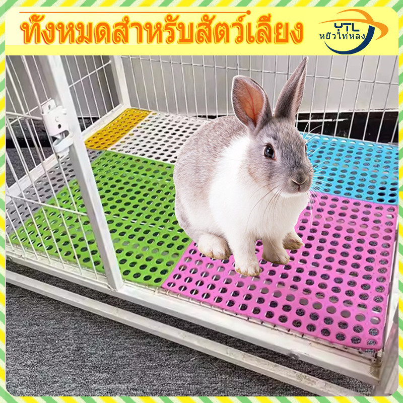 YTL แผ่นรองกรง กันลื่น แผ่นรองพื้นกรง แผ่นรองกรงสัตว์เลี้ยง PVC 30×30 จัดส่งจากประเทศไทย