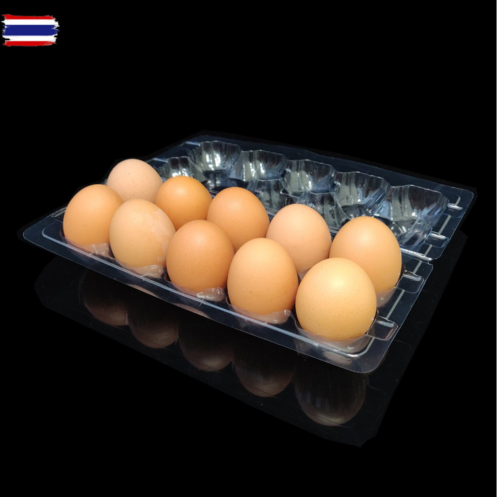 100 ใ กล่องไข่10ฟอง กล่องใส่ไข่ กล่องพลาสติกใส่ไข่10ฟอง สำหรัไข่ 2