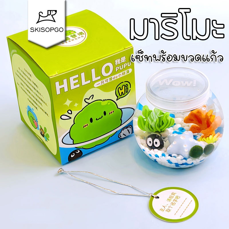SKISOPGO มาริโมะ เซ็ทพร้อมขวดแก้ว Marimo เหมาะสำหรับให้เป็นของขวัญสำหรับคนที่รัก