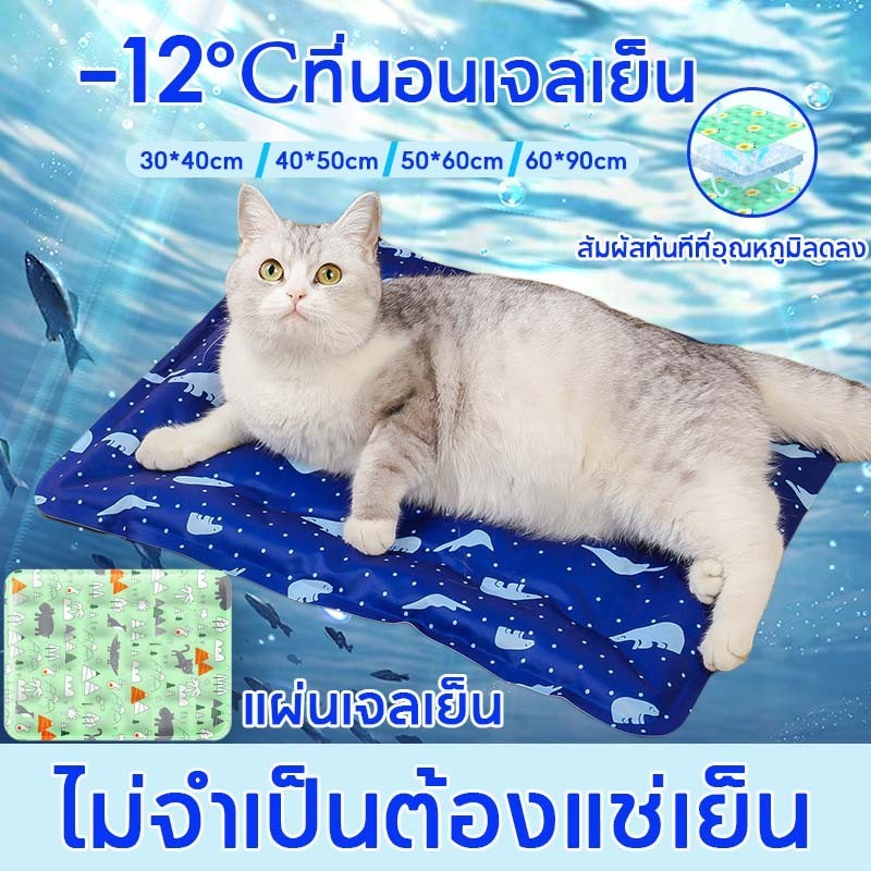 แผ่นเจลเย็น ที่นอนสัตว์เลี้ยง -12℃ ที่นอนเจลเย็น เบาะนอนเย็น ที่นอนเย็น แผ่นเจลเย็นแมวสุนัข แผ่นเจลเย็นสุ