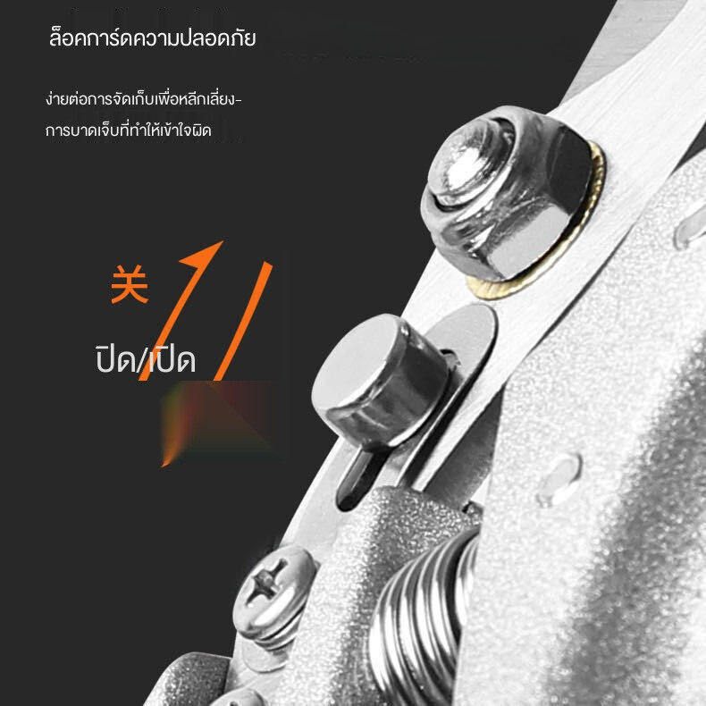 กรรไกรตัดกิ่งสําหรับทําสวน ตัดกิ่งไม้สูง สค5 ขนาด 40มม ใช้งานง่าย ตัดกิ่งไม้ ตัดต้นไม้ ตอนกิ่ง ทําสวน กรรไกรตัดกิ่ง กรรไกรบอนไซ - รูปที่ 2