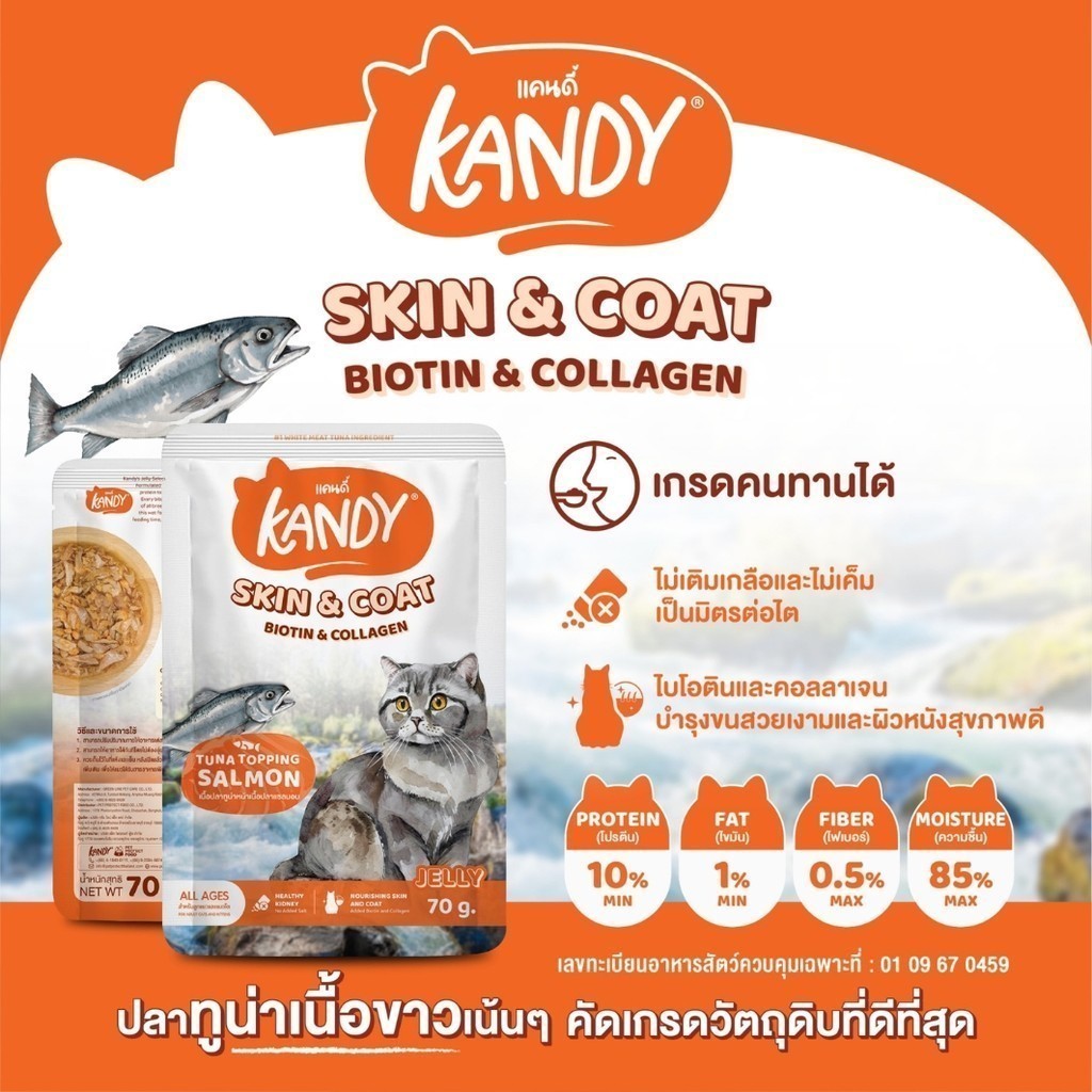 Kandy แคนดี้ [ยกโหล 12 ซอง] อาหารเปียกแมว ไม่ใส่เกลือ ผลิตจากปลาเนื้อขาว ขนาด 70 กรัม - รูปที่ 5