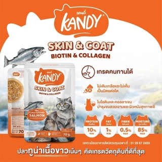 Kandy แคนดี้ [ยกโหล 12 ซอง] อาหารเปียกแมว ไม่ใส่เกลือ ผลิตจากปลาเนื้อขาว ขนาด 70 กรัม
