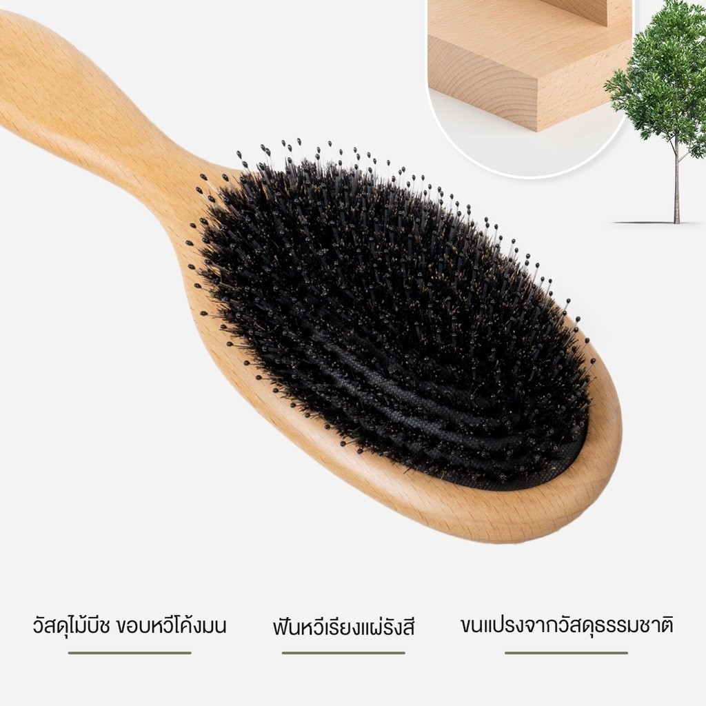 Boar-Bristle Hairbrushหวีขนหมูป่าแท้ขนหมูอัดแน่นหวีลดผมร่วงช่วยให้ผมเงางามแก้ผมพันกันนวดหนังศีรษะหวี ขนหมูป่า - รูปที่ 3
