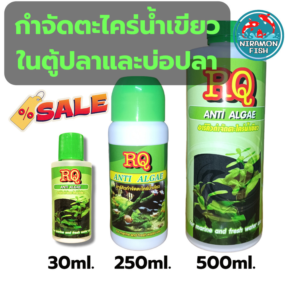 กำจัดตะไคร่น้ำเขียว RQ Anti Algae ในตู้ปลาและบ่อปลา