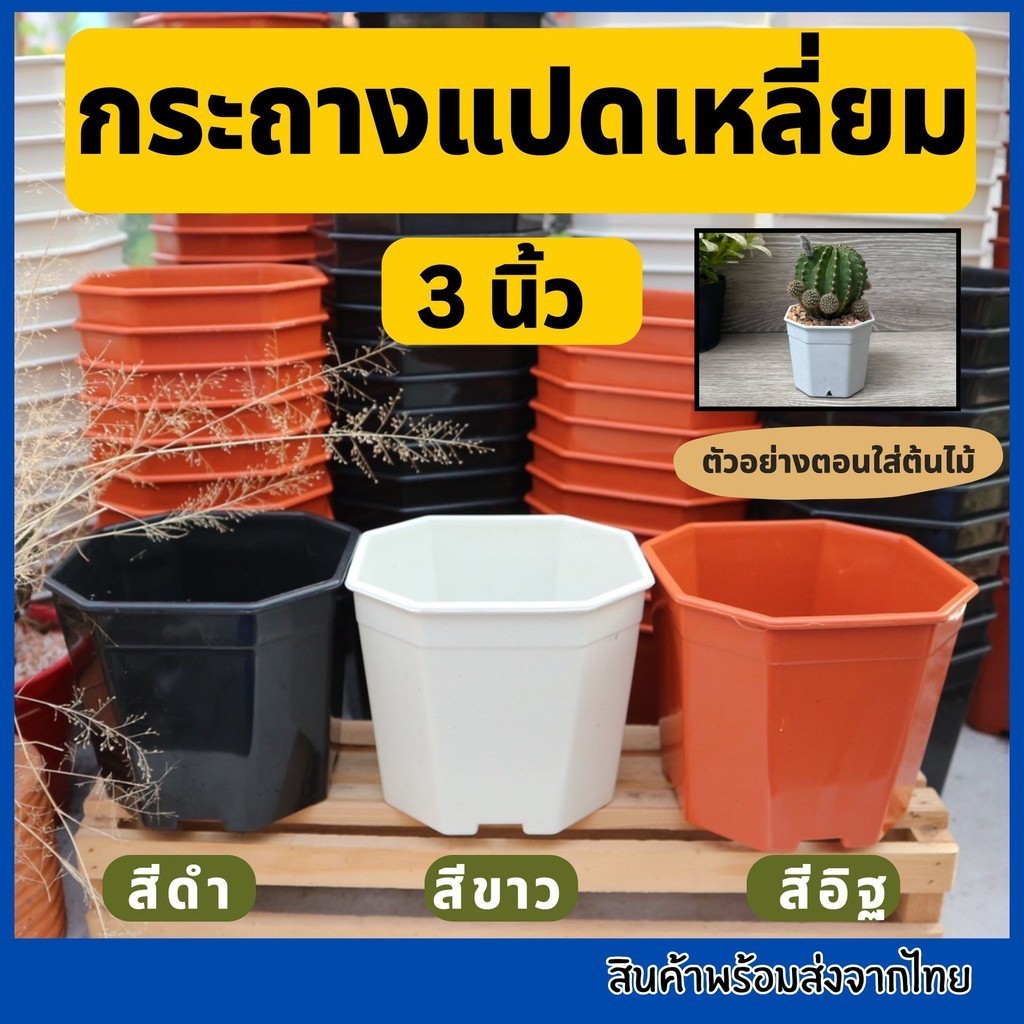 กระถางแปดเหลี่ยม 3 นิ้ว กระถางแคคตัส กระถาง3นิ้ว กระถางต้นไม้
