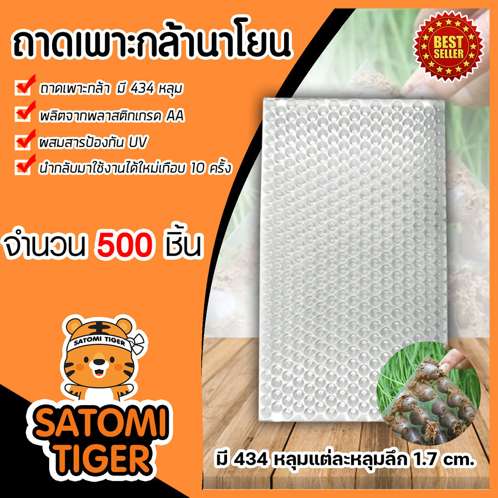 ถาดเพาะกล้านาโยน มี 2 แบบให้เลือก  434 หลุม และ 561 หลุม จำนวน 500 ชิ้น ถาดเพาะต้นข้าว ถาดเพาะนาโยน 