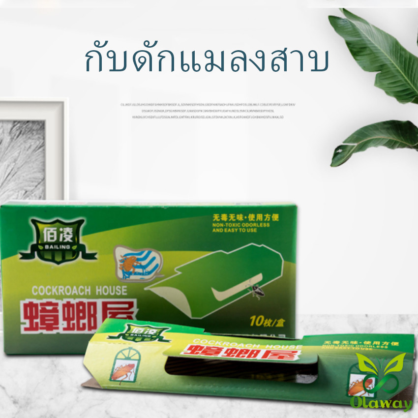 บ้านแมลงสาบ ดักจิ้งจก ดักแมลงสาบ กาวดักแมลงสาบ ที่ดักแมลงสาบ กับดักแมลงสาบ และดักจิ้งจกพร้อมเหยื่อสำเร็จรูป ฆ่าแมลงสาบ