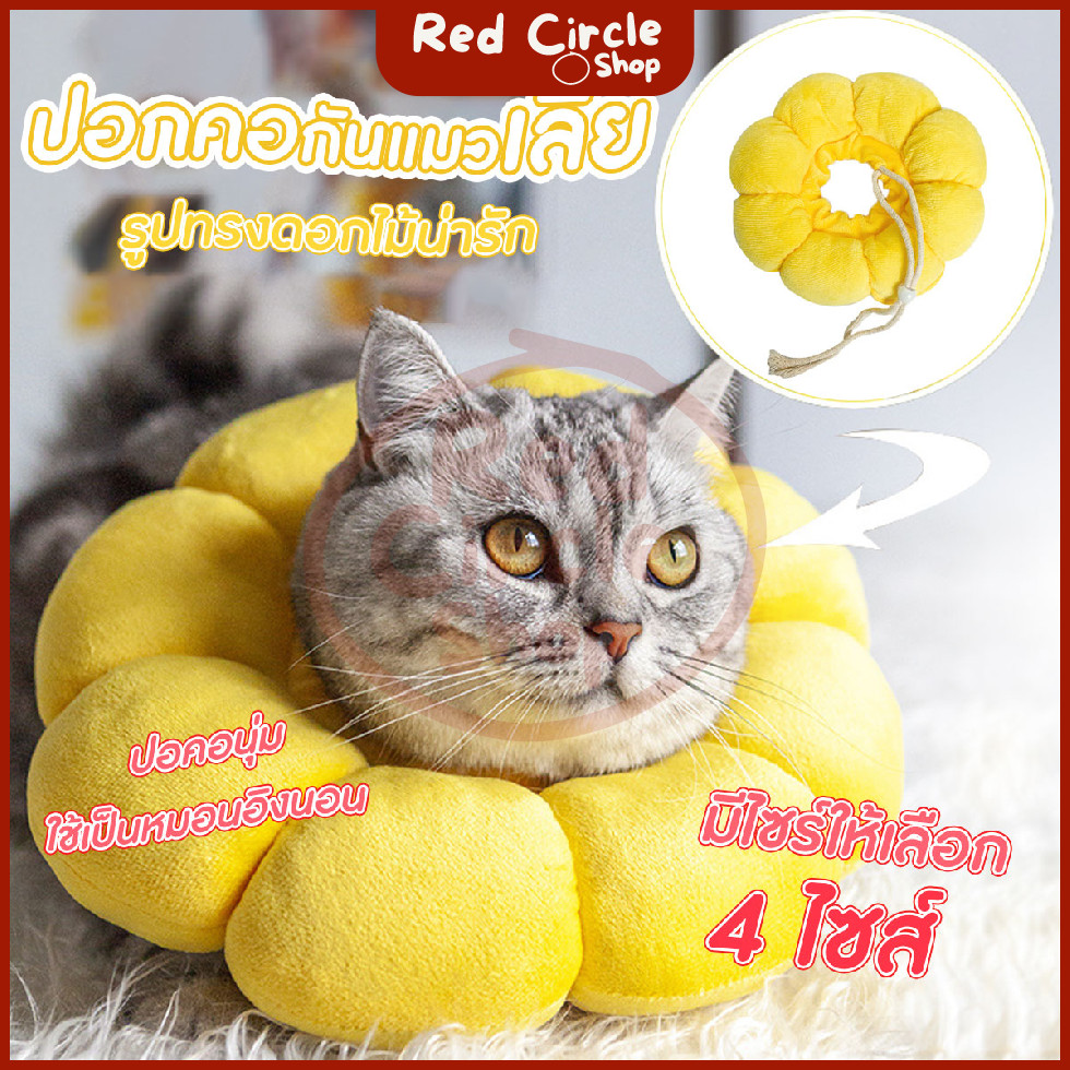 🔴พร้อมส่ง🔴 ปลอกคอกันแมวเลีย ปลอกคอสัตว์เลี้ยง รูปทานตะวัน ปรับขนาดได้ ขนาด XS/S/M/L