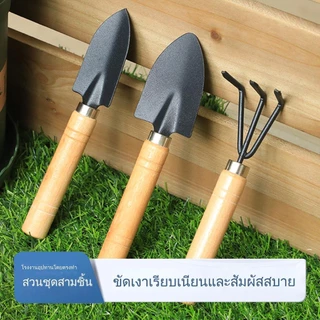 3 ชิ้น อุปกรณ์ปลูกต้นไม้ ชุดทำสวนจิ๋ว ชุด อุปกรณ์ทำสวนขนาดเล็ก พลั่ว เสียม เกลี่ยดิน พรวนดิน อุปกรณืสำหรับทำสวน G2738
