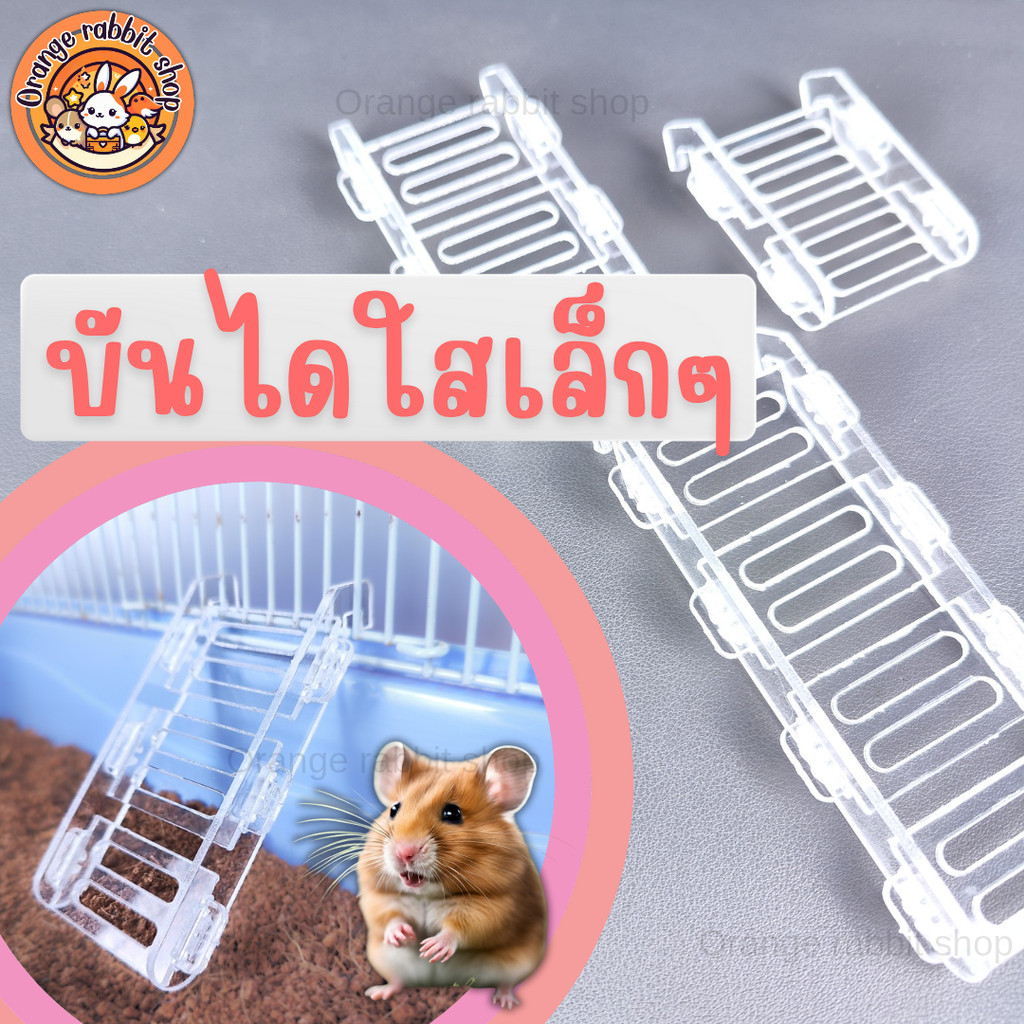 ORS บันไดใสสัตว์เล็ก บันไดหนูแฮมสเตอร์