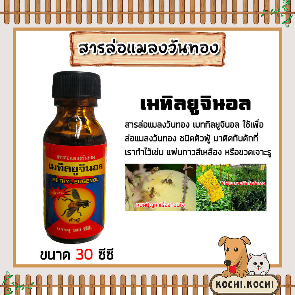 สเปร์ยสารล่อแมลงวันทอง / เมทิลยูจินอล / อุปกรณ์ดักแมลง  กับดักแมลงวันทอง น้ำยาดักแมลงวันทอง น้ำยาล่อแมลงวัน หัวเชื้อล่อแ