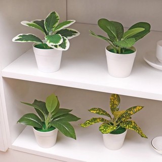 Thai✨พร้อมส่ง✨กระถางต้นไม้จําลอง ใบไม้สีเขียว สําหรับตกแต่งบ…