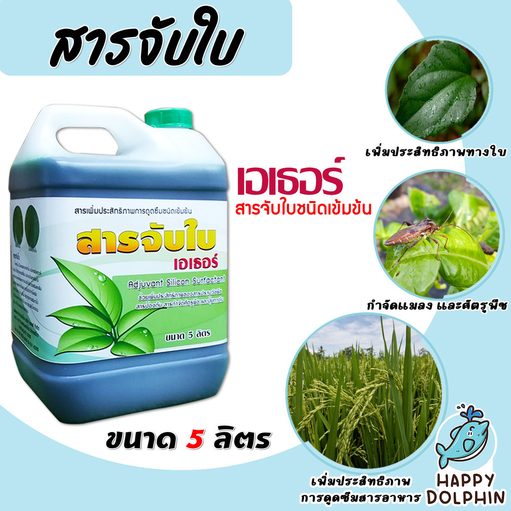 รวมสารจับใบเข้มข้นชนิดพิเศษ ขนาด 5 ลิตร มีหลายยี่ห้อให้เลือก