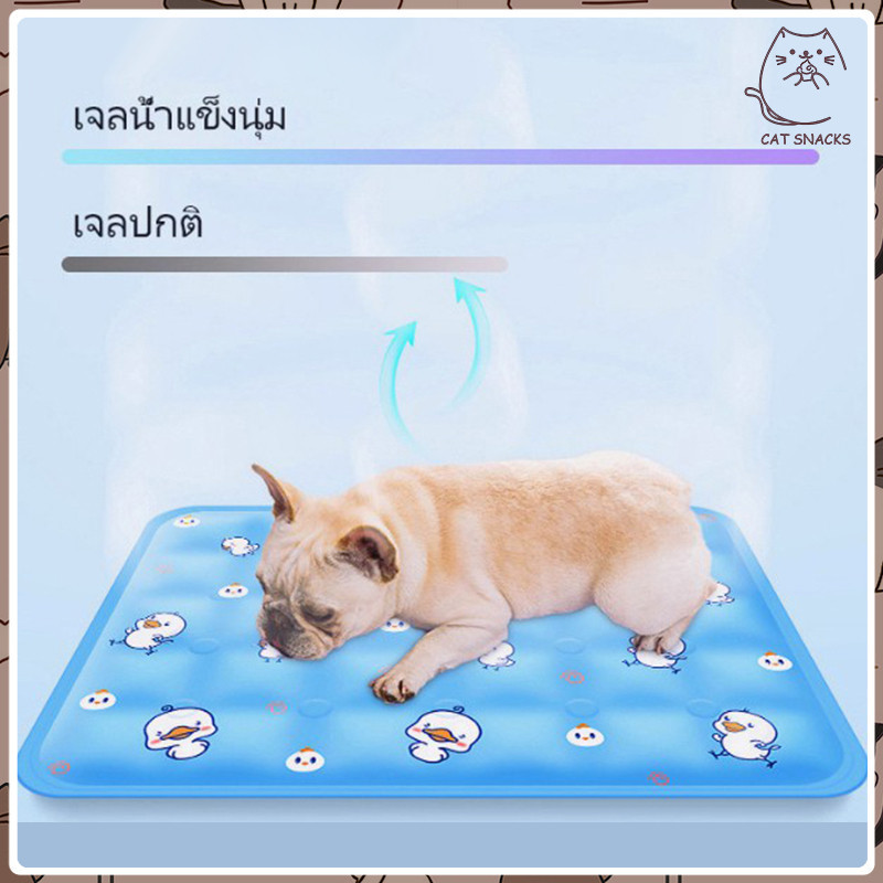 YTL สินค้ามาใหม่ สัตว์เลี้ยง ที่นอนเจลเย็น แผ่นเจลเย็น เบาะนอนเย็น ที่นอนเย็น สำหรับสัตว์เลี้ยง ที่นอนสัตว์เลี้ยง