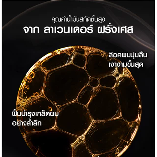 [เซตสุดคุ้ม] ลอรีอัล ปารีส เอ็กซ์ตรอว์ดินารี่ ออยล์ แชมพู 440มล x 2 สูตรสลีค สำหรับผมแห้ง (Extraordinary, แชมพู, L'oreal