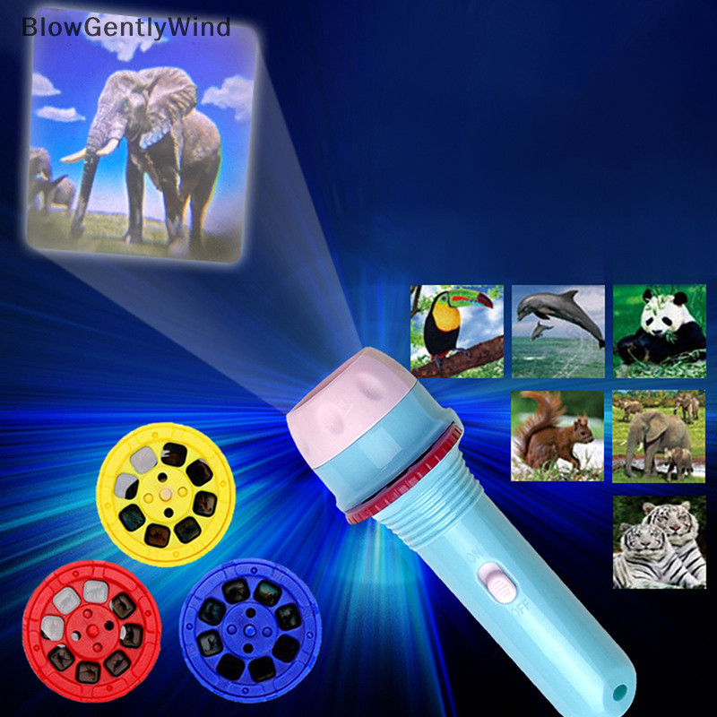 Blowgentlywind เด็กสไลด์โปรเจคเตอร์สัตว์ผลไม้ไดโนเสาร์รูปแบบการ์ตูนไฟฉายของเล่นเด็ก Sleeping เรืองแสง Night Light Up ของเล่น BGW