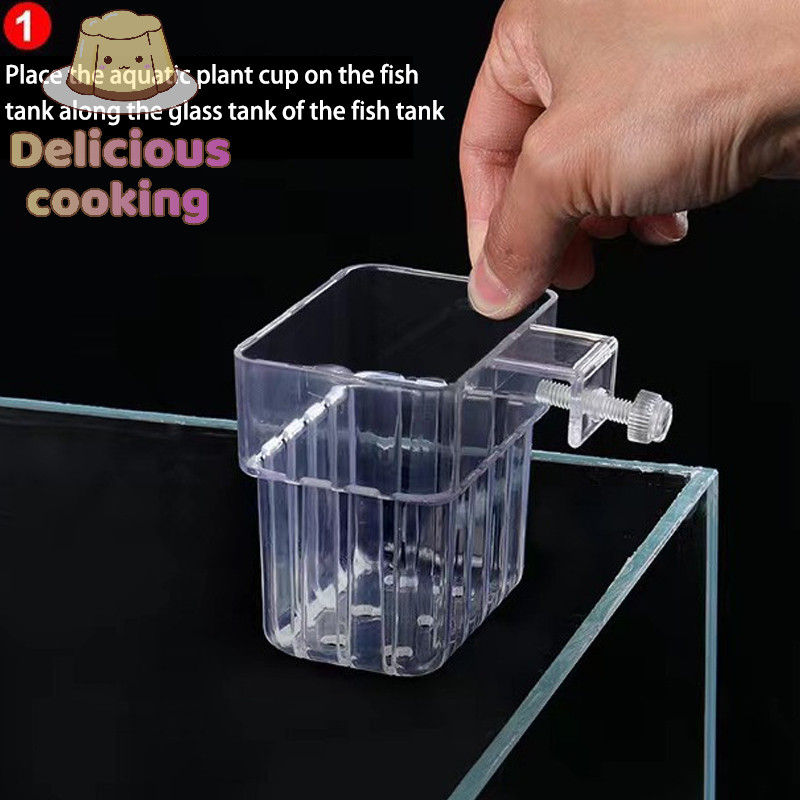 [ทําอาหารแสนอร่อย] Al Fish Aquarium Water Grass Plang Cup Breeding Isolation Box Fish Plants Fish ภูมิทัศน์ตกแต่ง [ใหม่]