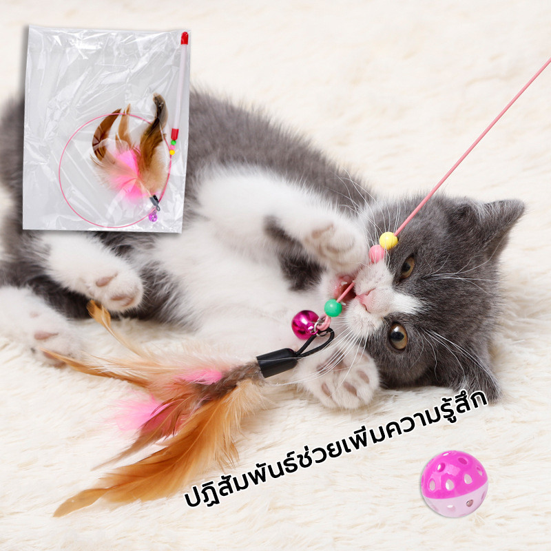 ♥️ไม้ตกแมวแบบสปริง ของเล่นแมว ไม้แมวตั้งพื้นขนนก ของเล่นสัตว์เลี้ยง