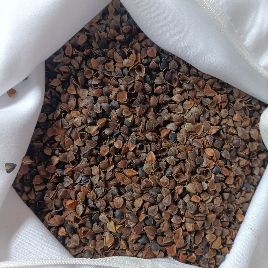 หมอนปลอกหมอนซับปกหนึ่งคู่แพ็คที่มีซิปหนาเข้ารหัสป้องกันฝุ่นหนังศีรษะนักเรียนเดี่ยวเด็กผู้ใหญ่ในครัวเรือน20250315 - รูปที่ 3