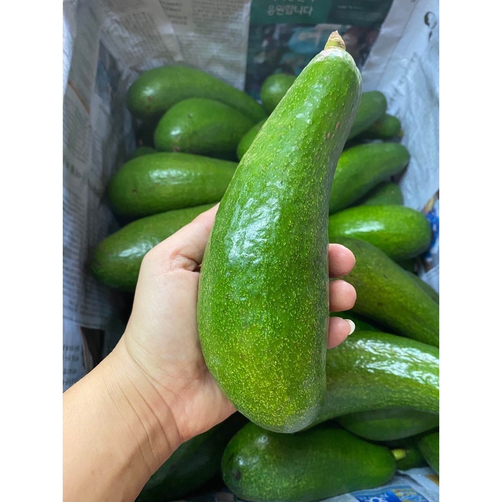 สด ใหม่ จาก ฟาร์ม ทุกวัน อโวคาโด้นำเข้าจากเวียดนาม เหนียวมันอร่อยมาก ขายเป็นกิโล