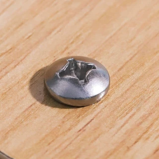 IEPERNG สกรูเกลียวปล่อย #8 100 ตัว/ถุง หัวแพน แฉก P+(PD) น็อต เกลียวปล่อย Tapping Screw