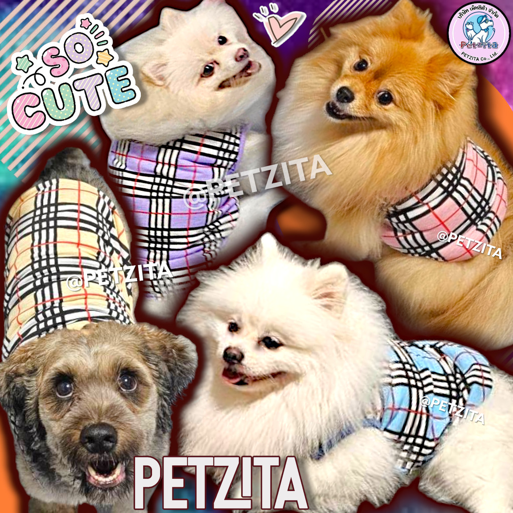 🇹🇭พร้อมส่ง🇹🇭 XS-6XL✨️🟪🟦 เสื้อแขนกุดลายสก๊อต เบอเบอรี่ เสื้อสุนัข ชุดหมา แมว สุนัขพันธุ์ใหญ่ & หมาพันธุ์เล็ก - รูปที่ 3