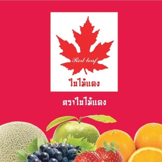 ผงชงเครื่องดื่ม ตราใบไม้แดง 200/1000กรัม ผงเผือก ผงชาเขียว ผงแคนตาลูป ผงโกโก้ ผงนมสด ผงชาเขียว ผงนมสดผงชง