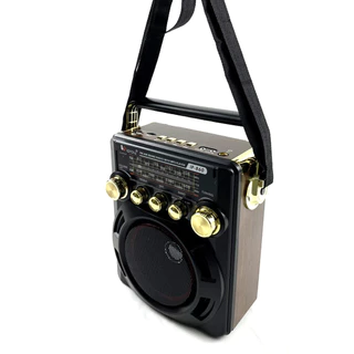 IPLAY (PCM) วิทยุ USB SD MP3 ฟังได้ทั้ง FM/AM รุ่น IP-860