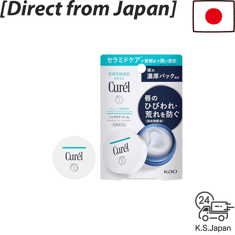Curel Lip Care Balm Unscented 4.2 grams (x 1)[Direct from Japan]
