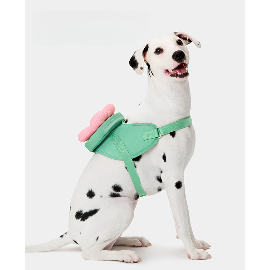 ดอกไม้,กระเป๋าเป้สะพายหลัง,สายลากสามในหนึ่ง,ขนาดใหญ่,ขนาดกลาง,สุนัขขนาดเล็กชุดเชือกลาก [QINGXI-PET]