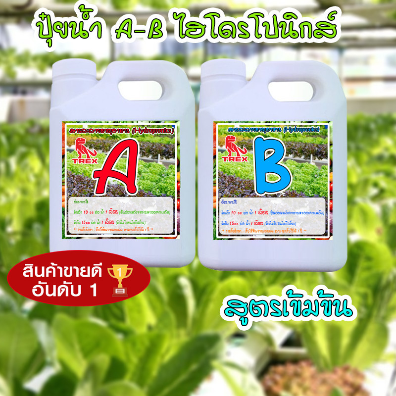 ปุ๋ย ไฮโดรโปรนิกส์ ปุ๋ยน้ำ AB  ขนาด 1 ลิตร   250-1000 CC ใช้ปลูกผักสลัด ผักกินใบ กินผล