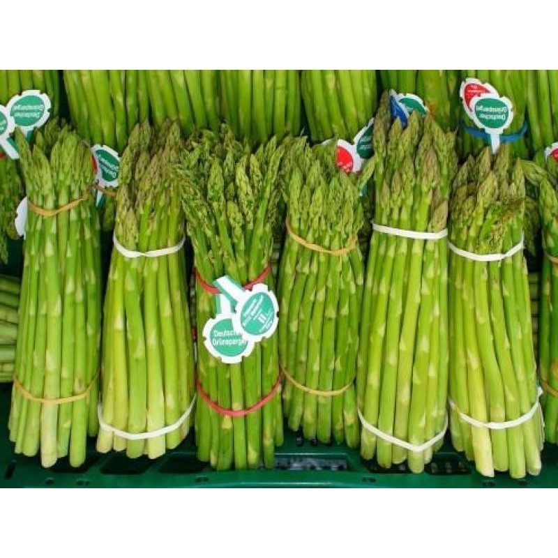 เมล็ดพันธุ์ เมล็ดพันธุ์ หน่อไม้ฝรั่ง เมรี่วอชิงตัน (Asparagus Seeds) บรรจุ 50 เมล็ด ผักอร่อย ต้นพันธ