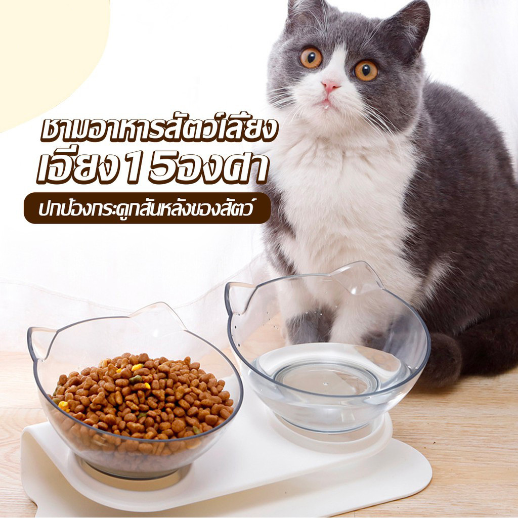 ชามเอียง ชามให้อาหารแมว ชามให้อาหารสุนัข ชามอาหารสัตว์เลี้ยง แบบคู่/แบบเดี่ยว เอียง 15 องศา ชามใส่อาหารสำหรับสัตว์เลี้ยง