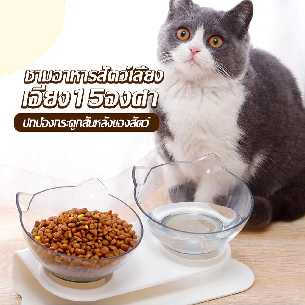 ชามเอียง ชามให้อาหารแมว ชามให้อาหารสุนัข ชามอาหารสัตว์เลี้ยง แบบคู่/แบบเดี่ยว เอียง 15 องศา ชามใส่อาหารสำหรับสัตว์เลี้ยง