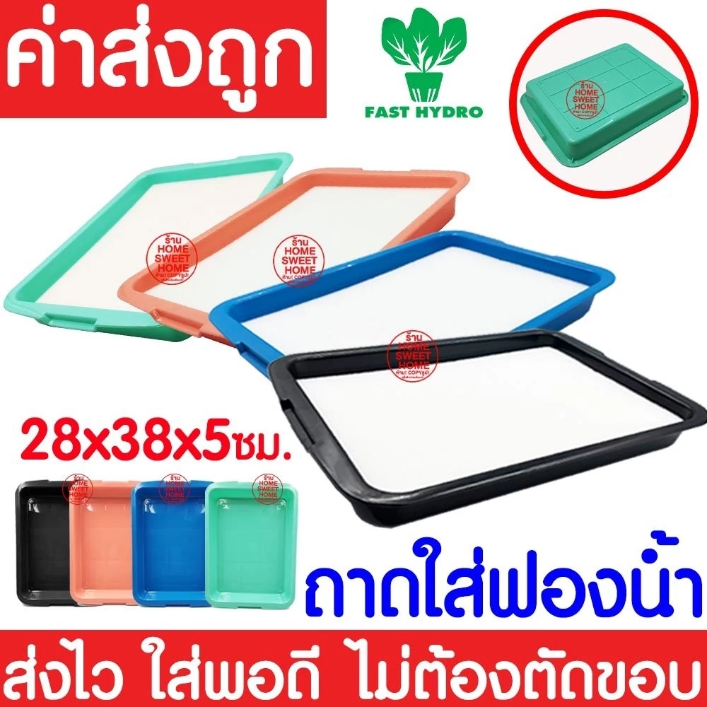 *โค้ดส่งฟรี* ถาดใส่ฟองน้ำ เพาะเมล็ด ถาดเพาะเมล็ดไม่มีรู ถาดเพาะกล้า ปลูกผักไฮโดรโปนิกส์ ถาดเพราะ ฟองน้ำ