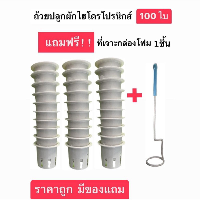 ถ้วยปลูกผักไฮโดรโปนิกส์ 100ใบฟรีที่เจาะรูกล่องโฟม 1 ชิ้น