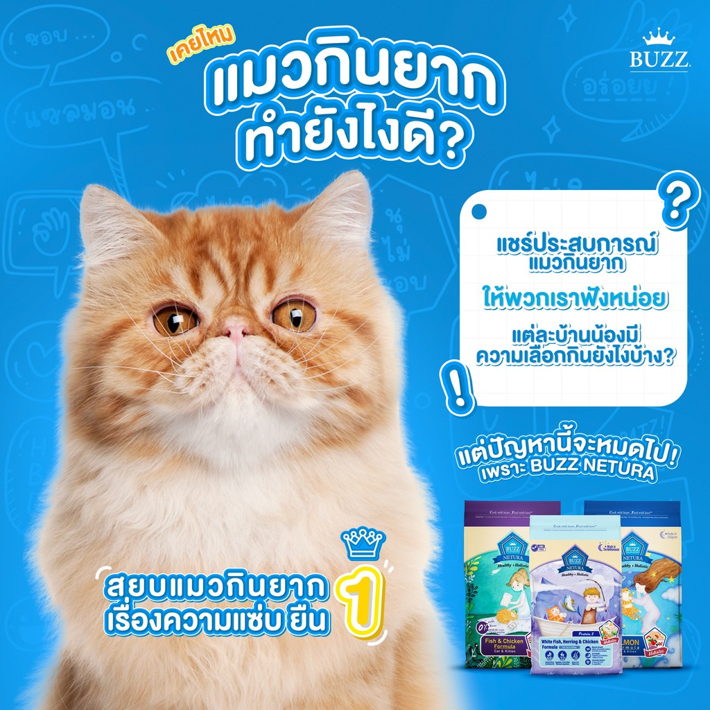 Buzz Netura อาหารแมวเกรดโฮลิสติก เกรนฟรี สูตรลูกแมวและแมวโต เหมาะกับแมวทุกสายพันธุ์ ขนาด 1 กิโลกรัม ราคา ถูกที่สุด ดีลบีเคเค แกลเลอรีภาพที่ 9
