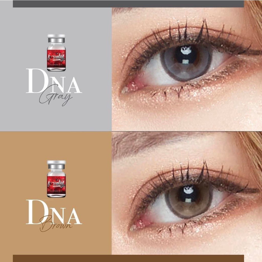 🔥คอนแทคเลนส์ - ขนาดบิ๊กอาย 💕Dna (Lovelylens) สี : Gray/ Brown