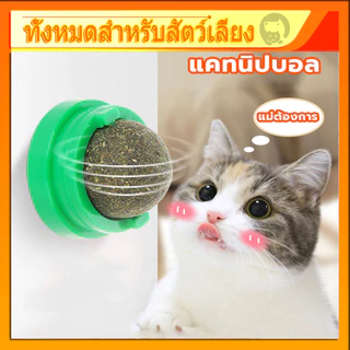 กัญชาแมว แคทนิปบอล ติดกำแพง ไม่กลิ้งหาย catnip ball แคทนิปแมว หญ้าแมว ของเล่นแมว ลดคราบหินปูน สําหรับสัตว์เลี้ยง
