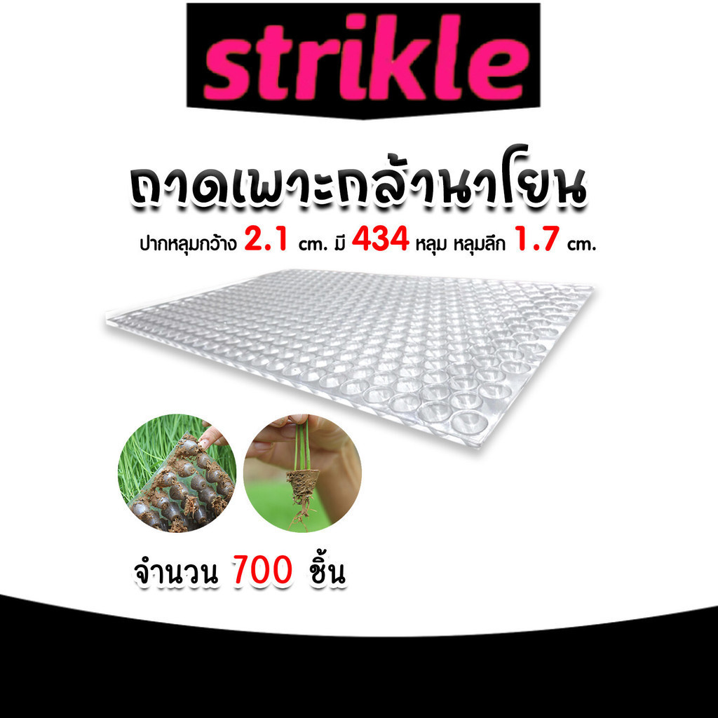 ถาดเพาะกล้านาโยน 434 หลุม แพ็ค 700 ชิ้น  ถาดเพาะต้นข้าว ถาดเพาะนาโยน เพาะกล้าข้าว ถาดนาโยน ถาดเพาะกล