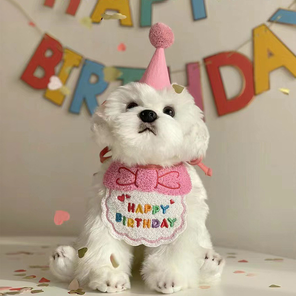 Pets Birthday Dog Birthday Hat & Bandana Set
