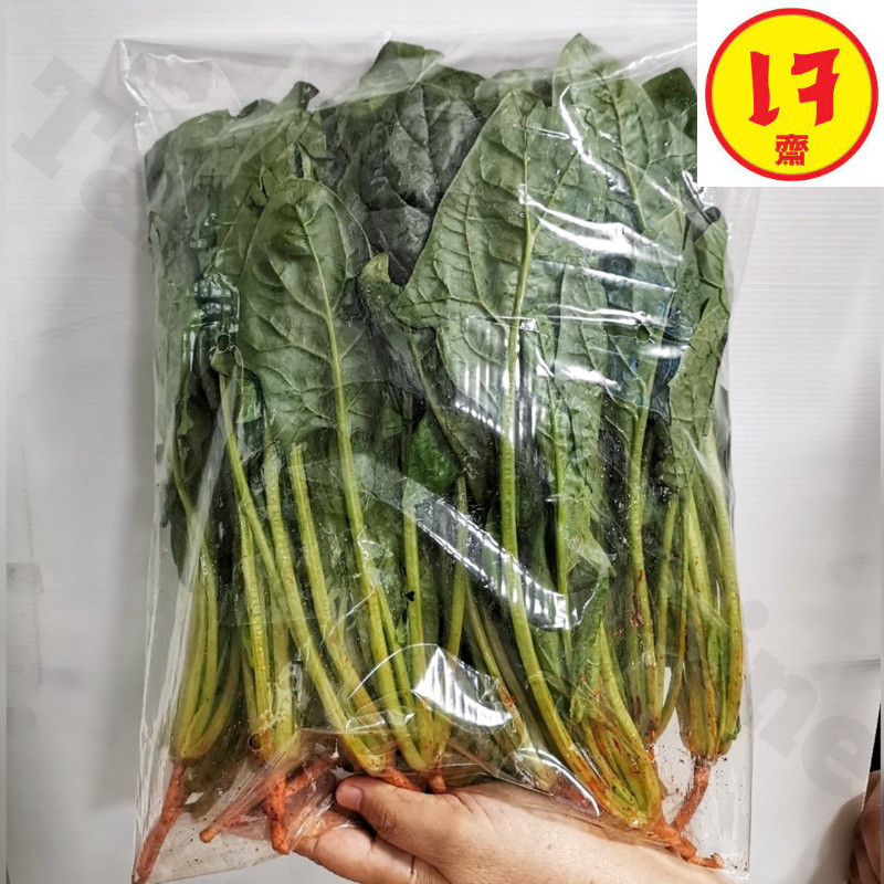 ปวยเล้ง สด สะอาด รับประกันคุณภาพ สด ใหม่ จาก ฟาร์ม ทุกวัน ราคา ส่ง ถูกที่สุด