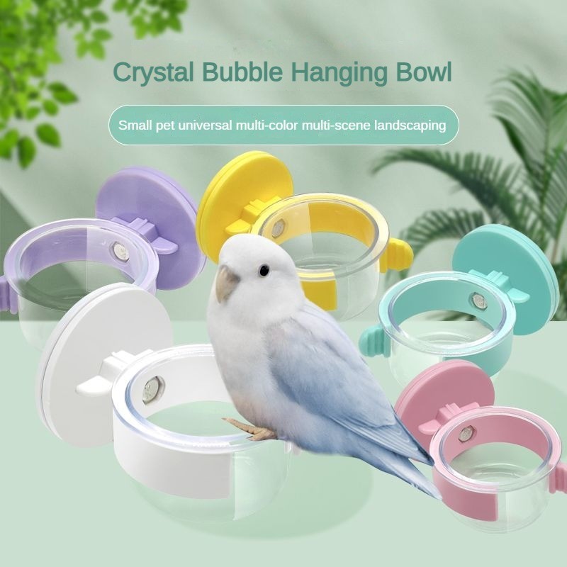 Parrot Crystal Bubble Hanging Bowl Cage สําหรับนก Takeaway กล่องอาหารคงที่