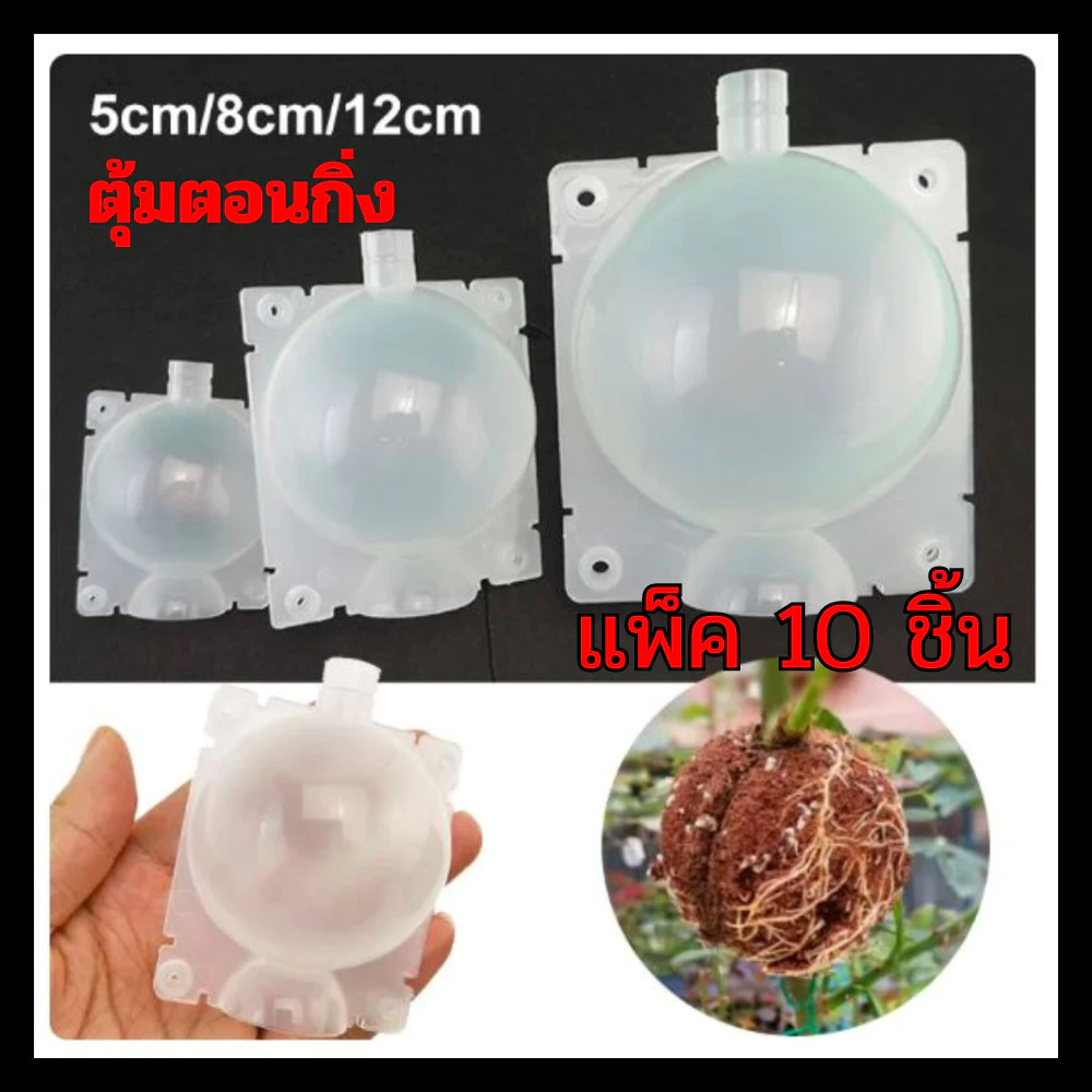 ตุ้มตอนกิ่ง ตอนกิ่ง แพ็ค 10 ชิ้น มีที่ล็อคในตัว ตุ้มตอนพลาสติก แบบหนา มี 3 ขนาด แข็ง ทนทาน ใช้ซ้ำได้
