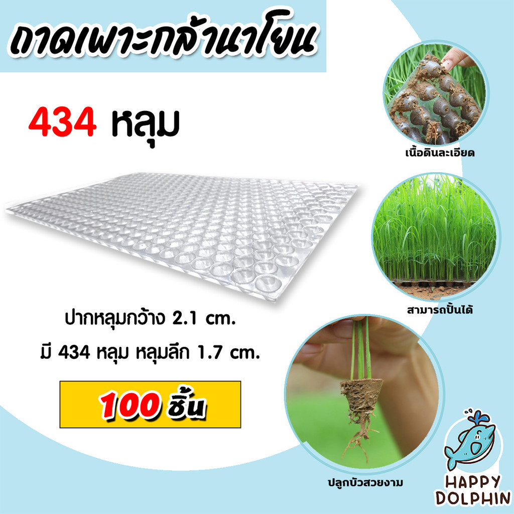 ถาดเพาะกล้านาโยน 434 หลุม แพ็ค 100 ชิ้น  ถาดเพาะต้นข้าว ถาดเพาะนาโยน เพาะกล้าข้าว ถาดนาโยน ถาดเพาะกล