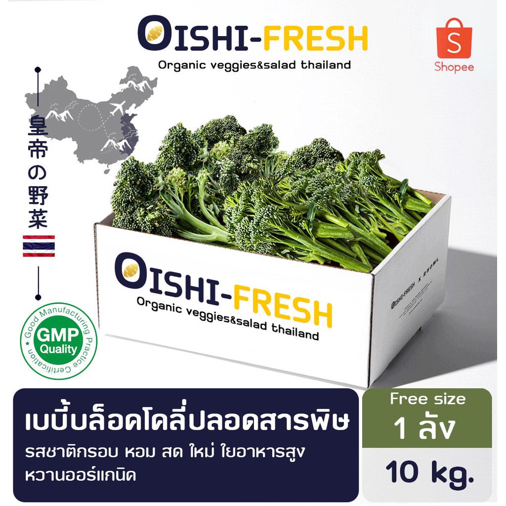 🚨ส่งด่วน🥢ร้านอาหาร🥬เบบี้บล็อคโคลี่ ปลอดสารพิษ 5 กก. ผักร้านอาหาร ผักยกลัง ผักราคาส่ง ผักชาบู ผักโรงแรม ส่ง 24 ชม.