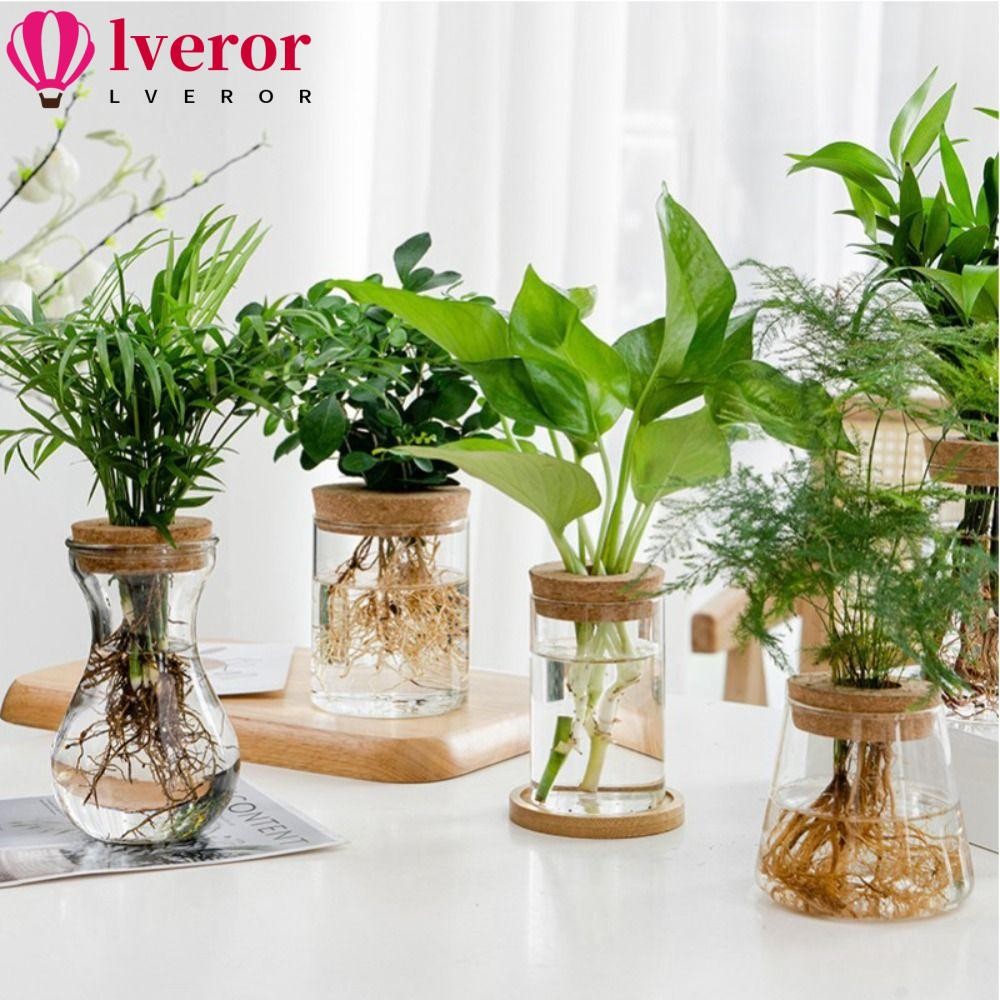 Lveror กระถางดอกไม้ไฮโดรโปนิกส์, แจกันแก้วบ้านสร้างสรรค์โปร่งใส, สวนขวดขนาดเล็กกระถางไร้ดิน